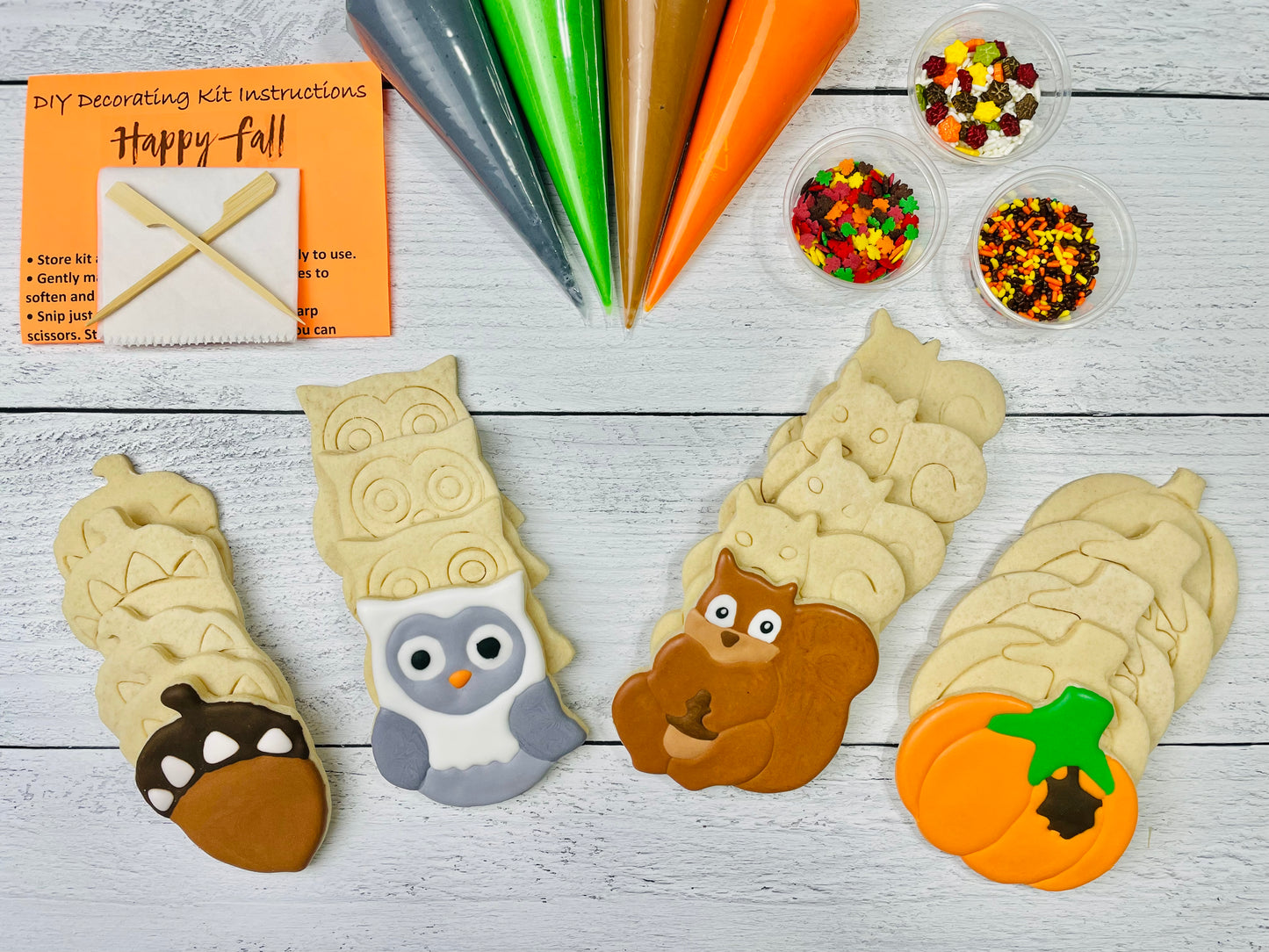 Fall Cookie Decorating Kit, Fall DIY Cookie Kit, ***INCLUDES 24 ITEMS***** Zoom Party Favors, Assorted Shaped Cookie Kit!