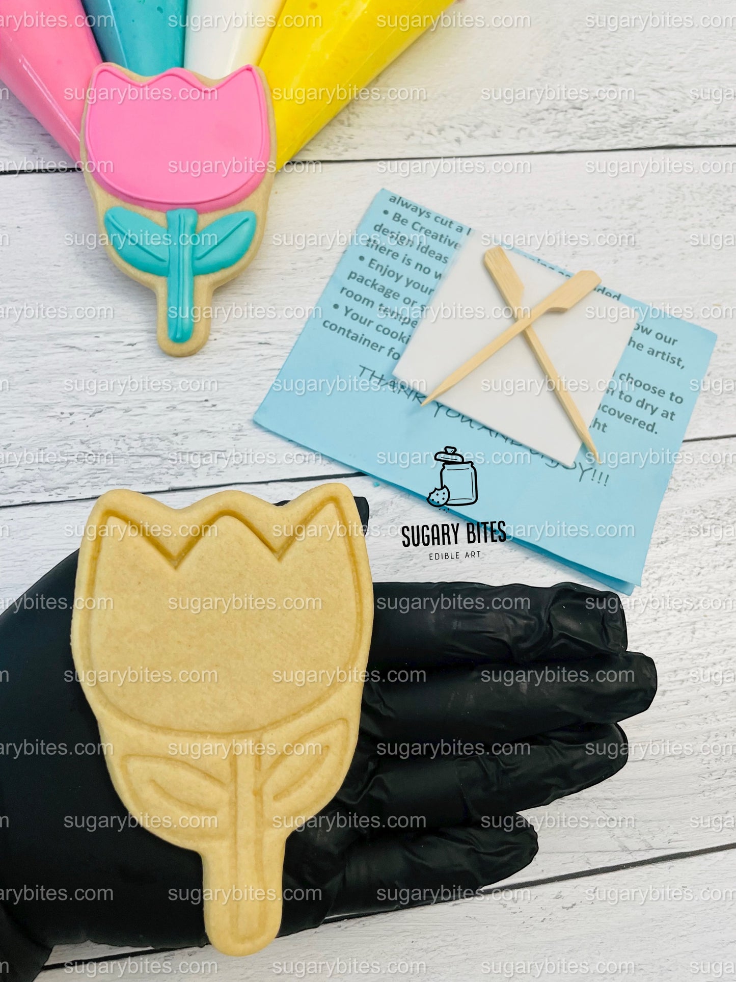 Summer Day Cookie Decorating Kit, DIY Spring Sugar Cookie Decorating Kit, **INCLUDES 24 ITEMS** , (Large Cookies) … With 4 Icing Bags!!