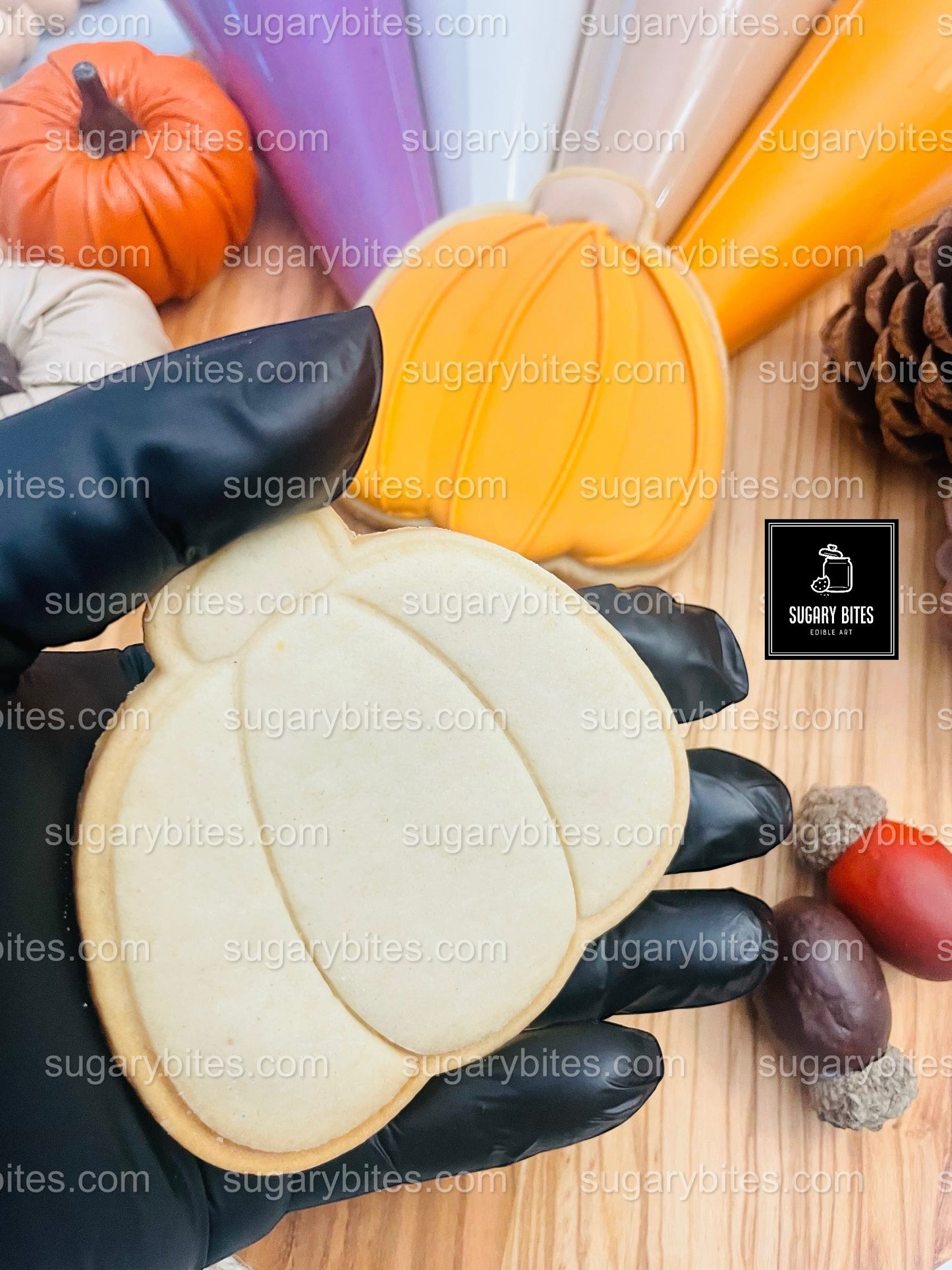 Fall Cookie Decorating Kit, Thanksgiving DIY cookie kit **INCLUDES 24 ITEMS* Zoom Party Favors, Assorted Shaped Cookie Kit, (Large Cookies)