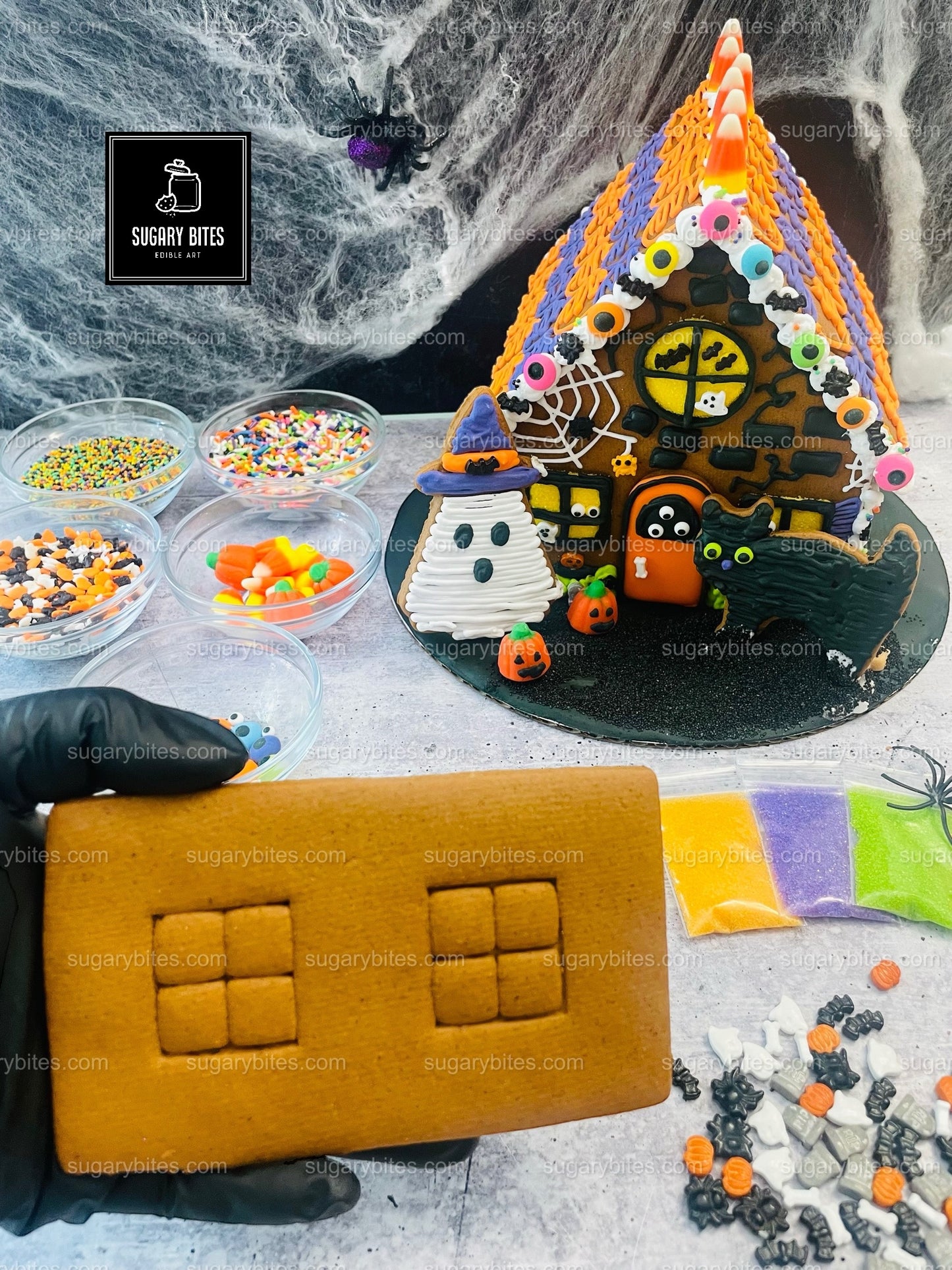 Halloween Haunted House Cookie Decorating Kit, (Large Cookies), ***INCLUDES 35 ITEMS***With 5 Icing Bags & 16 different Deluxe Sprinkles