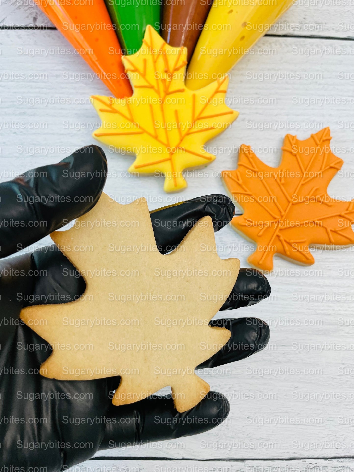 Fall Cookie Decorating Kit, ***INCLUDES 24 ITEMS*** (Large Cookies),Zoom Party Favors, W/ 4 Icing Bags and 3 Deluxe Sprinkles!