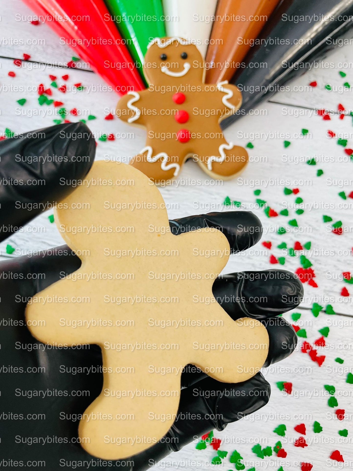 Christmas Cookie Decorating Kit, Christmas DIY Cookie Kit, (Large Cookies), ***INCLUDES 25 ITEMS*** With 3 Deluxe Sprinkles and 5 Icing Bags.