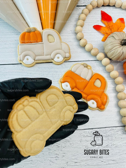 Fall Cookie Decorating Kit, ***INCLUDES 24 ITEMS*** Zoom Party Favors, Assorted Shaped Cookie Kit, (Large Cookies)