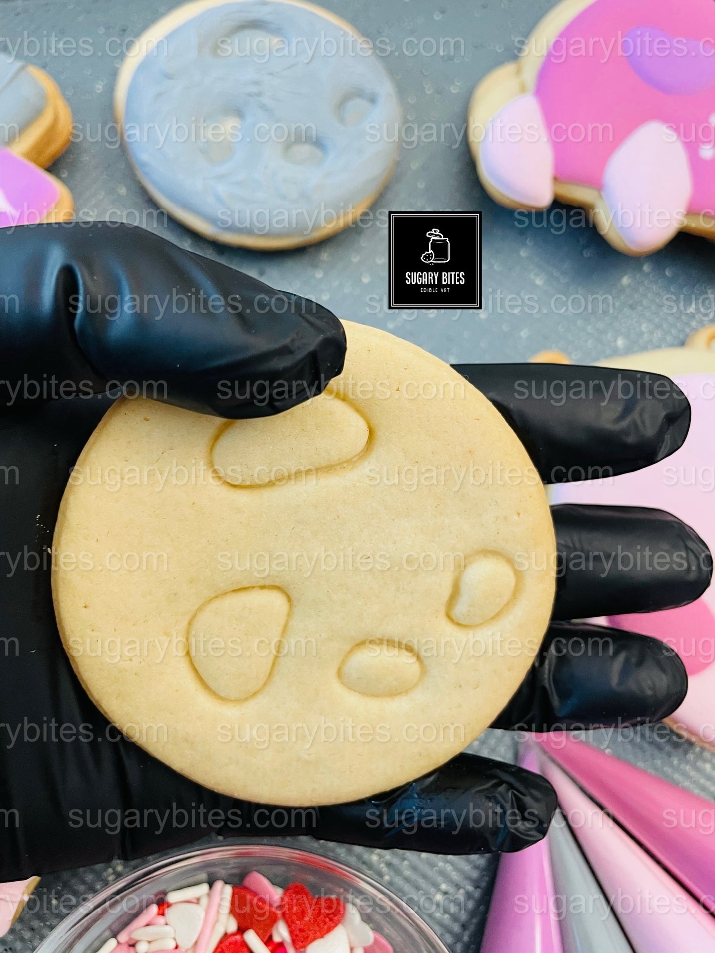 Valentine’s Day Cookie Decorating Kit | Space Cookies | Alien Cookies | Sugar Vanilla or Gluten-Free | INCLUDES 24 ITEMS*(Large Cookies)
