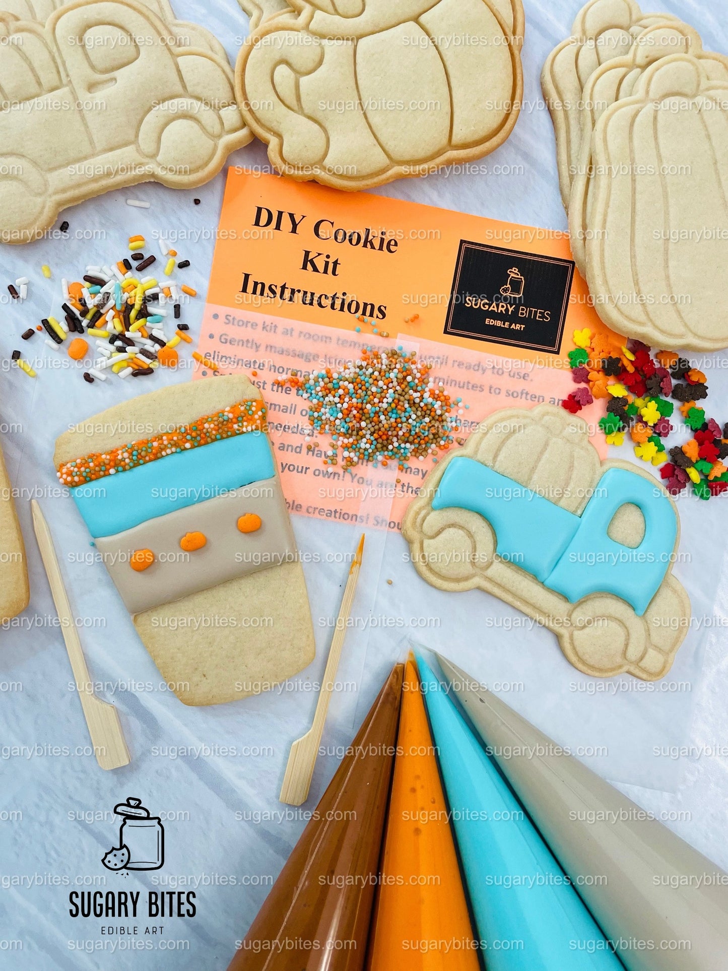 Fall Cookie Decorating Kit, ***INCLUDES 24 ITEMS*** Zoom Party Favors, Assorted Shaped Cookie Kit, (Large Cookies)