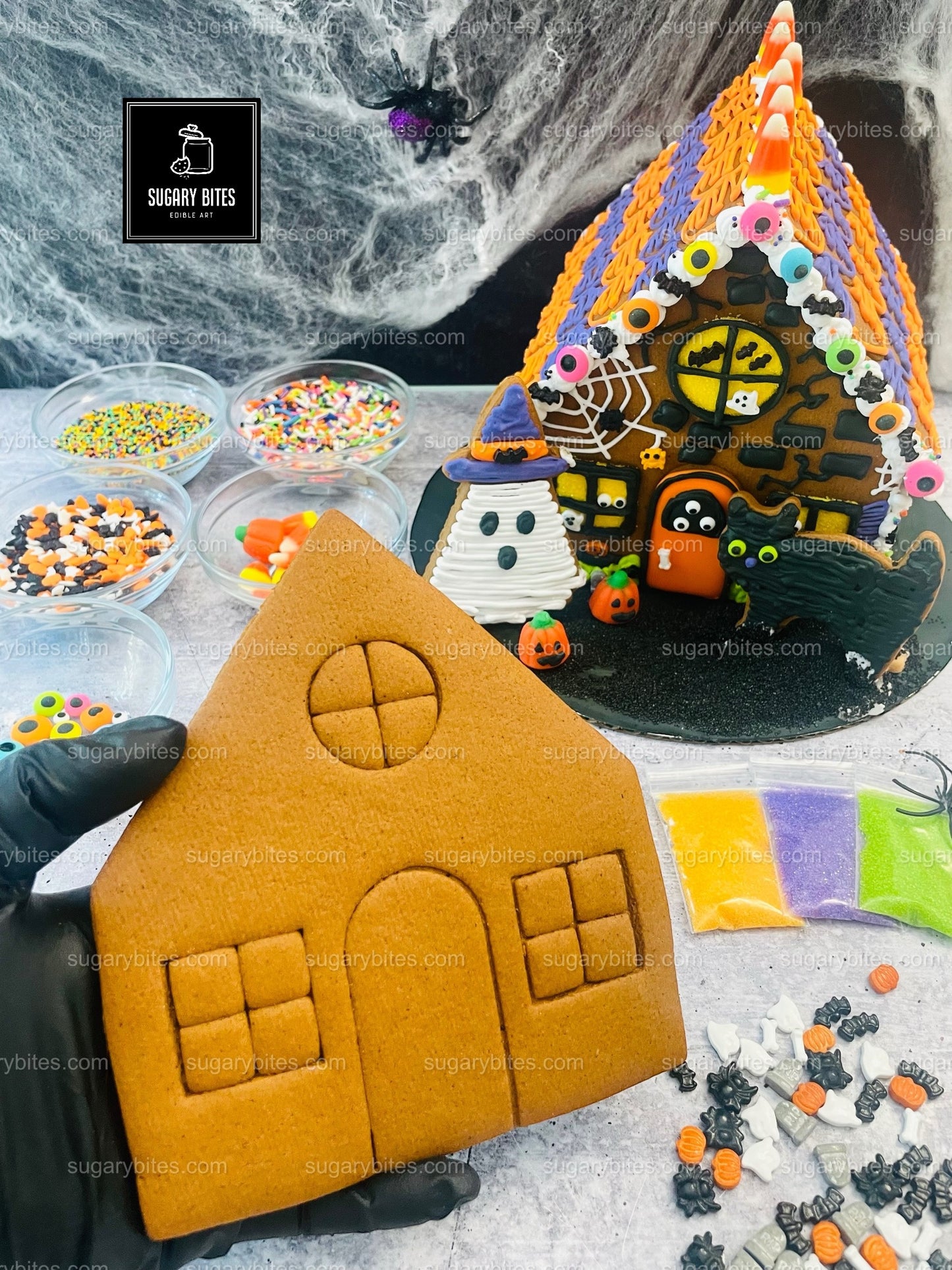Halloween Haunted House Cookie Decorating Kit, (Large Cookies), ***INCLUDES 35 ITEMS***With 5 Icing Bags & 16 different Deluxe Sprinkles