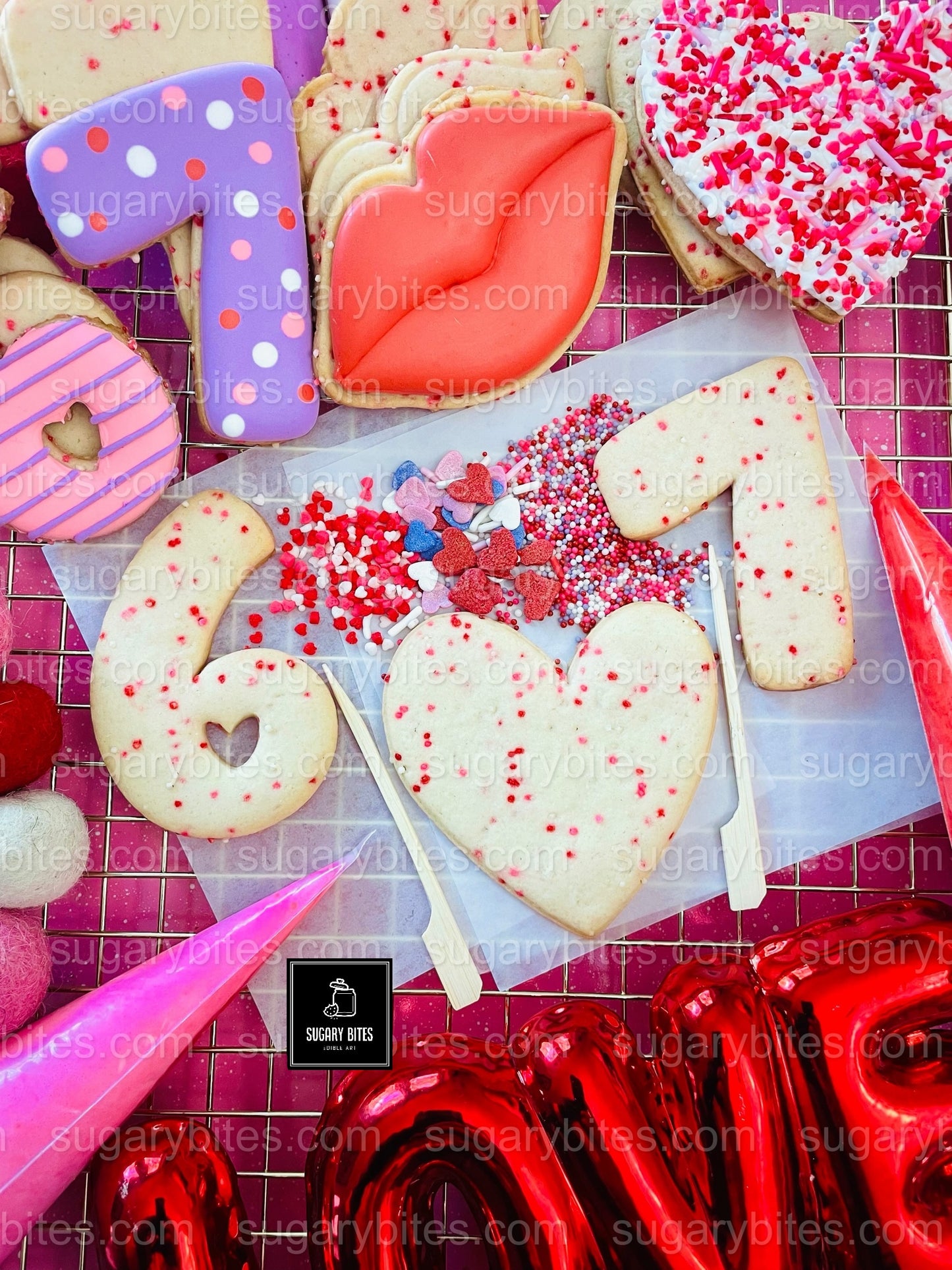 Valentine’s Day Cookie Decorating Kit, DIY Valentine’s Day Cookie Kit, **INCLUDES 24 ITEMS**(Large Cookies), Family Fun Treat,Valentine Gift