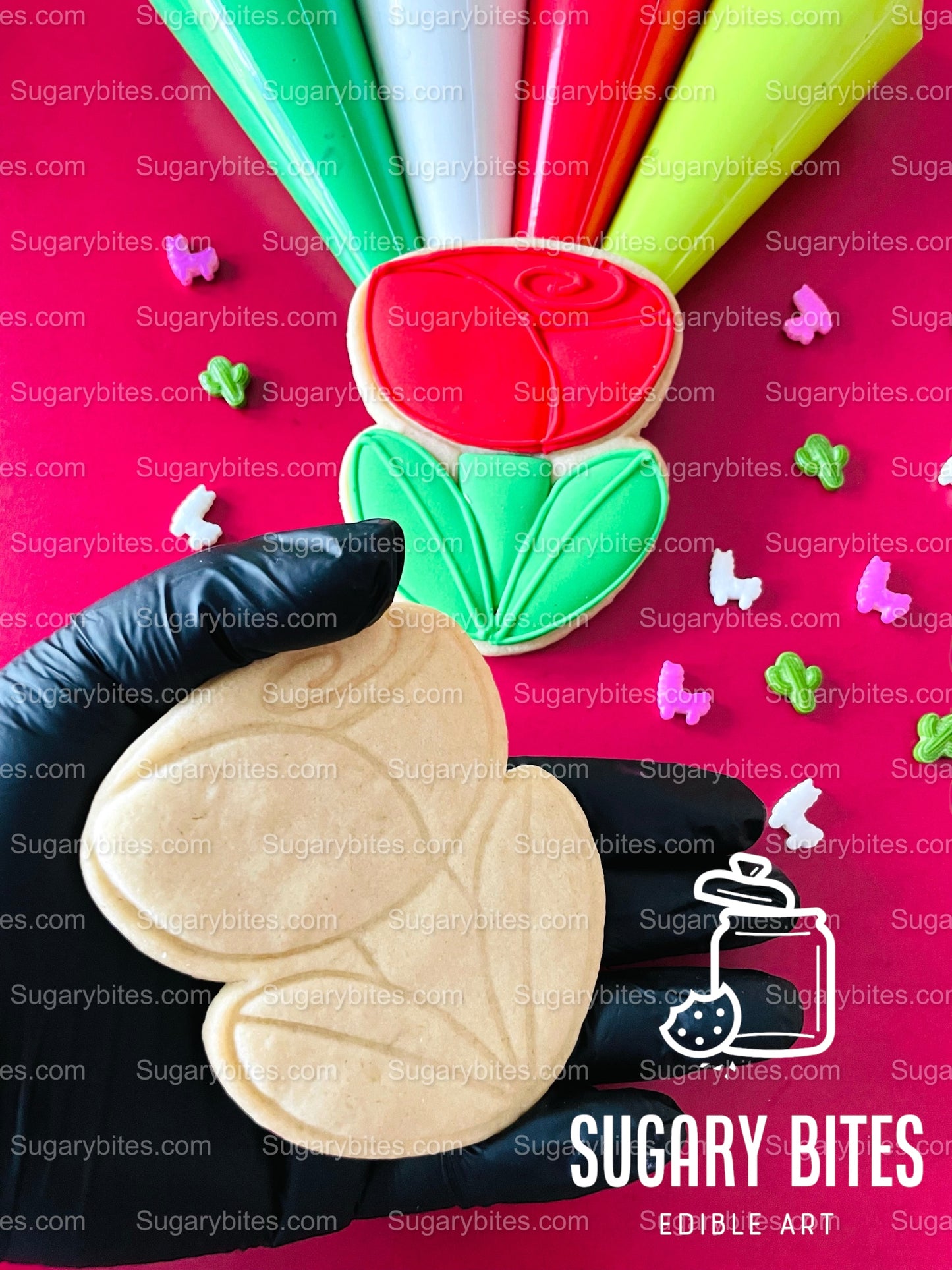 Valentine’s Day Cookie Decorating Kit, Heart DIY Cookie Kit, **INCLUDES 24 ITEMS** (Large Cookies), Deluxe Sprinkles Included!!!