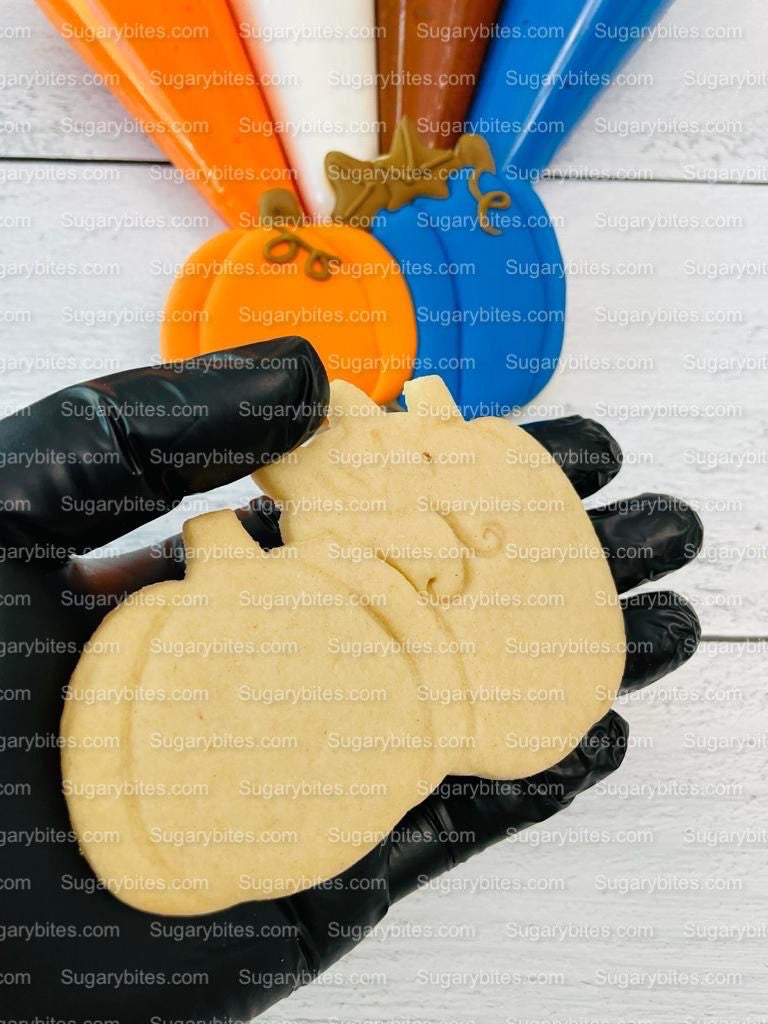 Fall Cookie Decorating Kit, ***INCLUDES 24 ITEMS*** Zoom Party Favors, Assorted Shaped Cookie Kit, (Large Cookies)!