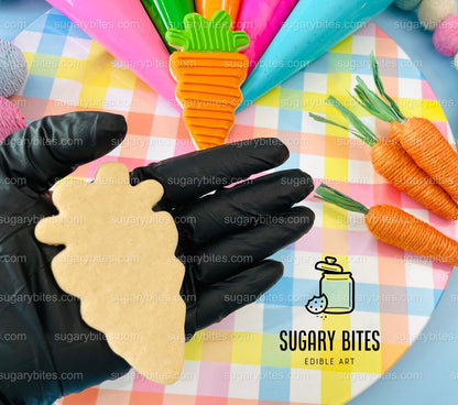 Easter Cookie Decorating Kit, DIY Spring Sugar Cookie Decorating Kit, **INCLUDES 24 ITEMS**, (Large Cookies)… with Deluxe Sprinkles!!!