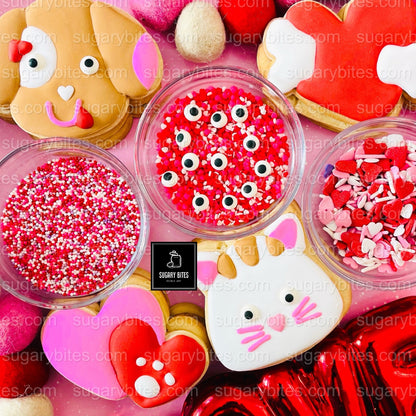 Valentine’s Day Cookie Decorating Kit, DIY Valentine’s Day Cookie Kit, **INCLUDES 24 ITEMS**(Large Cookies), Family Fun Treat,Valentine Gift