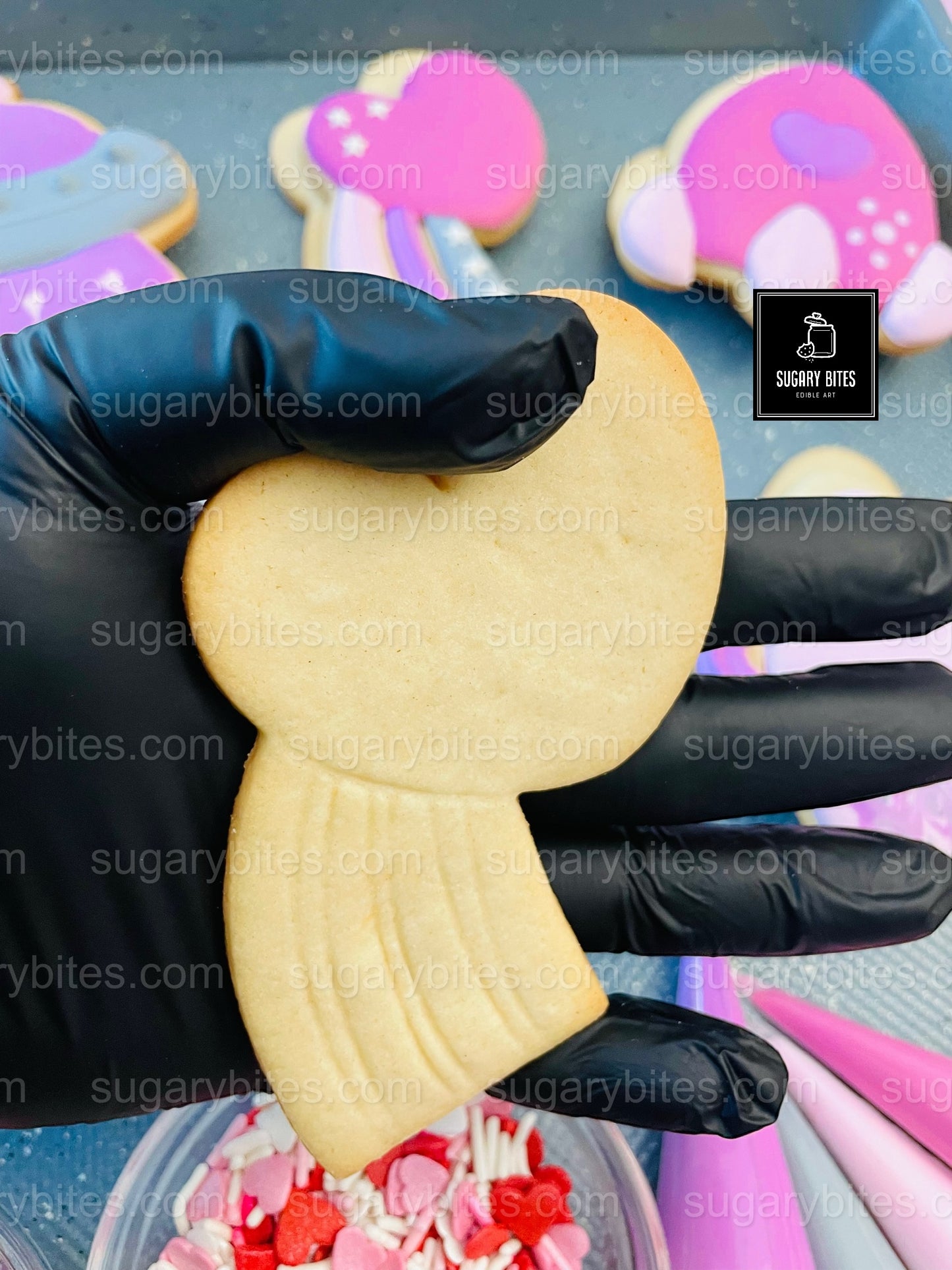 Valentine’s Day Cookie Decorating Kit | Space Cookies | Alien Cookies | Sugar Vanilla or Gluten-Free | INCLUDES 24 ITEMS*(Large Cookies)