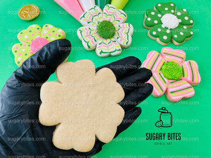 St Patrick’s Day Cookie Decorating Kit, St. Patrick’s Day DIY Cookie Kit, **INCLUDES 24 ITEMS** (Large Cookies), Included Deluxe Sprinkles