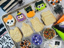 Load image into Gallery viewer, Halloween Cookie Decorating Kit, DIY Cookie Kit, (Large Cookies) ***INCLUDES 24 ITEMS*** With 4 Icing Bags &amp; 3 Deluxe Sprinkles!!!
