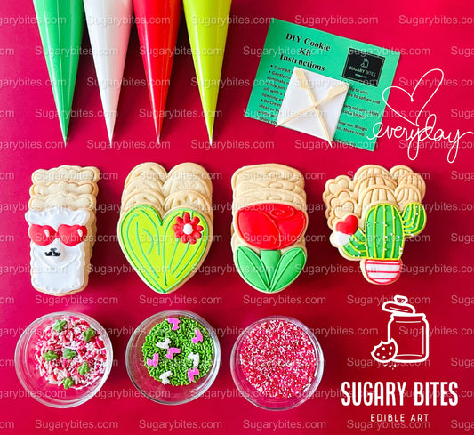 Valentine’s Day Cookie Decorating Kit, Heart DIY Cookie Kit, **INCLUDES 24 ITEMS** (Large Cookies), Deluxe Sprinkles Included!!!