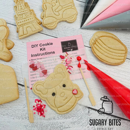 Valentines Cookie Decorating Kit, DIY Cookie Kit, **INCLUDES 25 ITEMS** (Large Cookies), Deluxe Sprinkles Included & 5 Icing Bags!!