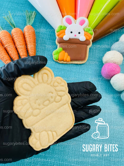 Easter Cookie Decorating Kit, DIY Spring Sugar Cookie Decorating Kit, **INCLUDES 26 ITEMS**,(Large Cookies)…with 5 Icing Bags & Free Bonus!!!