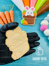 Load image into Gallery viewer, Easter Cookie Decorating Kit, DIY Spring Sugar Cookie Decorating Kit, **INCLUDES 26 ITEMS**,(Large Cookies)…with 5 Icing Bags &amp; Free Bonus!!!
