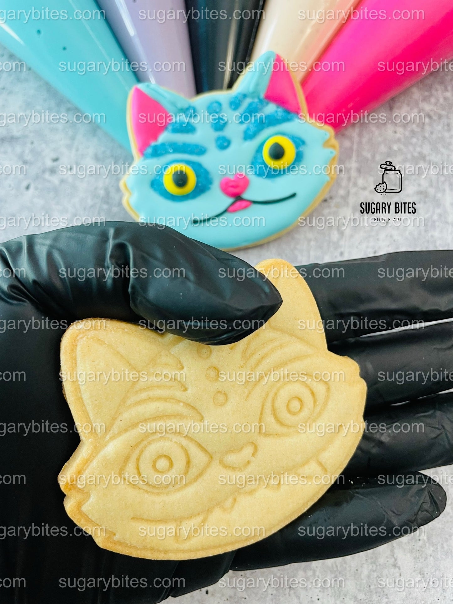 Kpop Decorating Kit, DIY Cookie Kit, (Large Cookies) ***INCLUDES 25 ITEMS*** With 5 Icing Bags & 3 Deluxe Sprinkles!!!