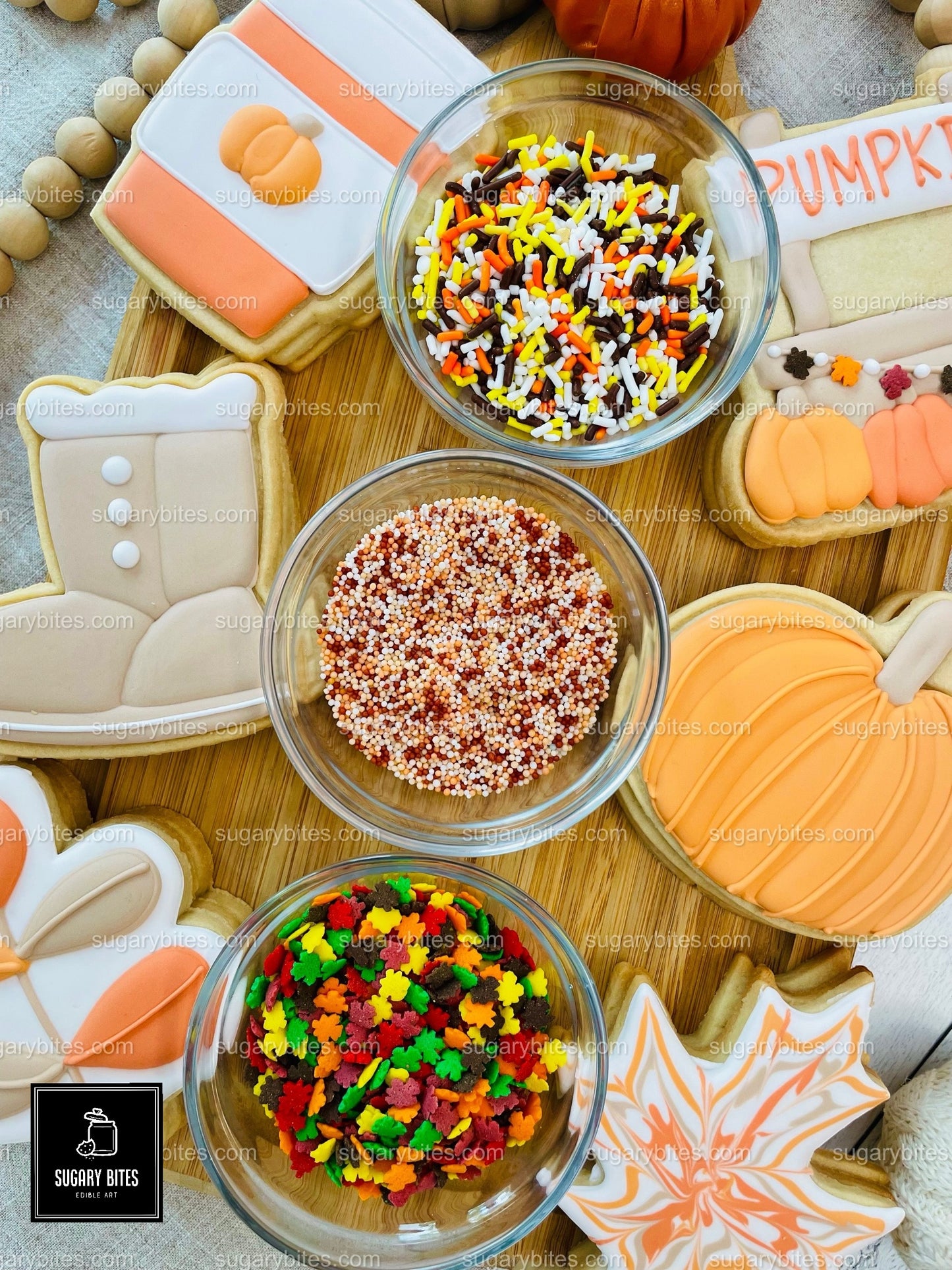 Fall Cookie Decorating Kit, ***INCLUDES 24 ITEMS*** Zoom Party Favors, Assorted Shaped Cookie Kit, (Large Cookies)