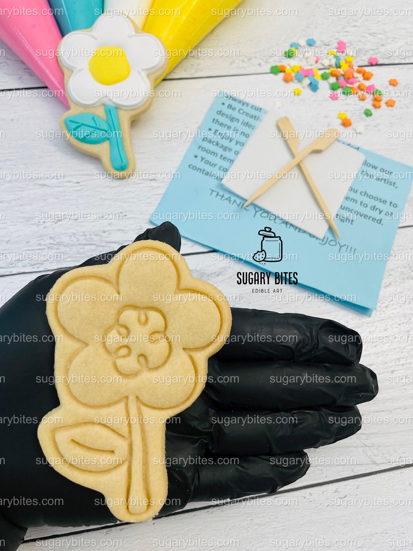 Summer Day Cookie Decorating Kit, DIY Spring Sugar Cookie Decorating Kit, **INCLUDES 24 ITEMS** , (Large Cookies) … With 4 Icing Bags!!