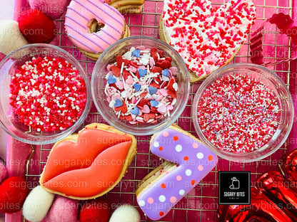 Valentine’s Day Cookie Decorating Kit, DIY Valentine’s Day Cookie Kit, **INCLUDES 24 ITEMS**(Large Cookies), Family Fun Treat,Valentine Gift