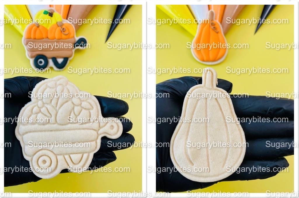 Fall Cookie Decorating Kit, Fall DIY Decorating Cookies Kit, (Large Cookies), **INCLUDES 25 ITEMS**, with 5 Icing Bags and 3 Sprinkles!!!