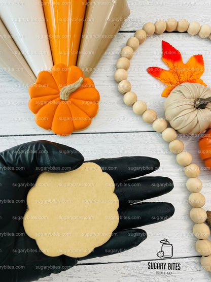 Fall Cookie Decorating Kit, ***INCLUDES 24 ITEMS*** Zoom Party Favors, Assorted Shaped Cookie Kit, (Large Cookies)