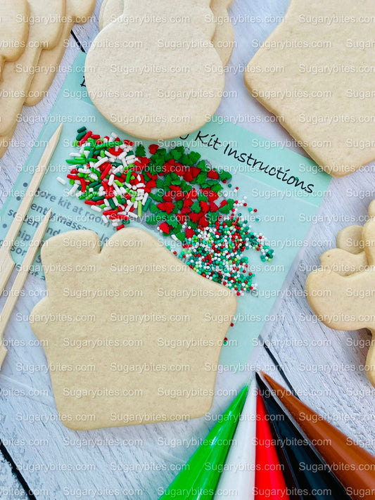Christmas Cookie Decorating Kit, Christmas DIY Cookie Kit, (Large Cookies), ***INCLUDES 25 ITEMS*** With 3 Deluxe Sprinkles and 5 Icing Bags.