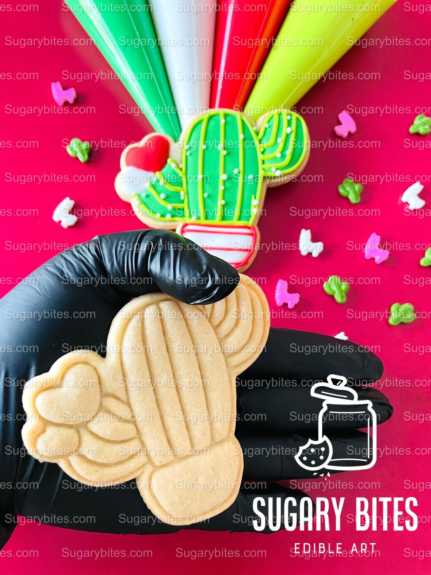 Valentine’s Day Cookie Decorating Kit, Heart DIY Cookie Kit, **INCLUDES 24 ITEMS** (Large Cookies), Deluxe Sprinkles Included!!!