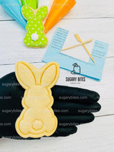 Load image into Gallery viewer, Easter Cookie Decorating Kit, DIY Easter Sugar Cookie Decorating Kit, **INCLUDES 24 ITEMS**, (Extra Large Cookies)
