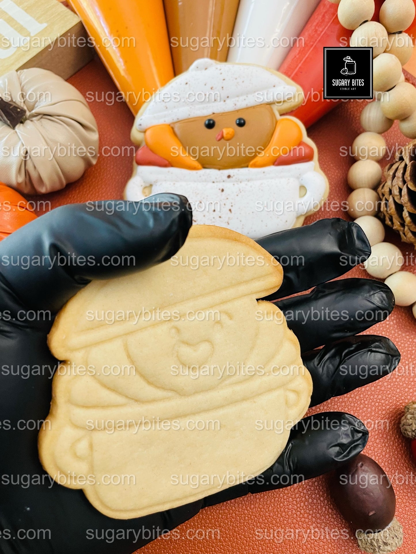 Fall Cookie Decorating Kit, ***INCLUDES 24 ITEMS*** Thanksgiving Cookies, Assorted Shaped Cookie Kit, (Large Cookies)