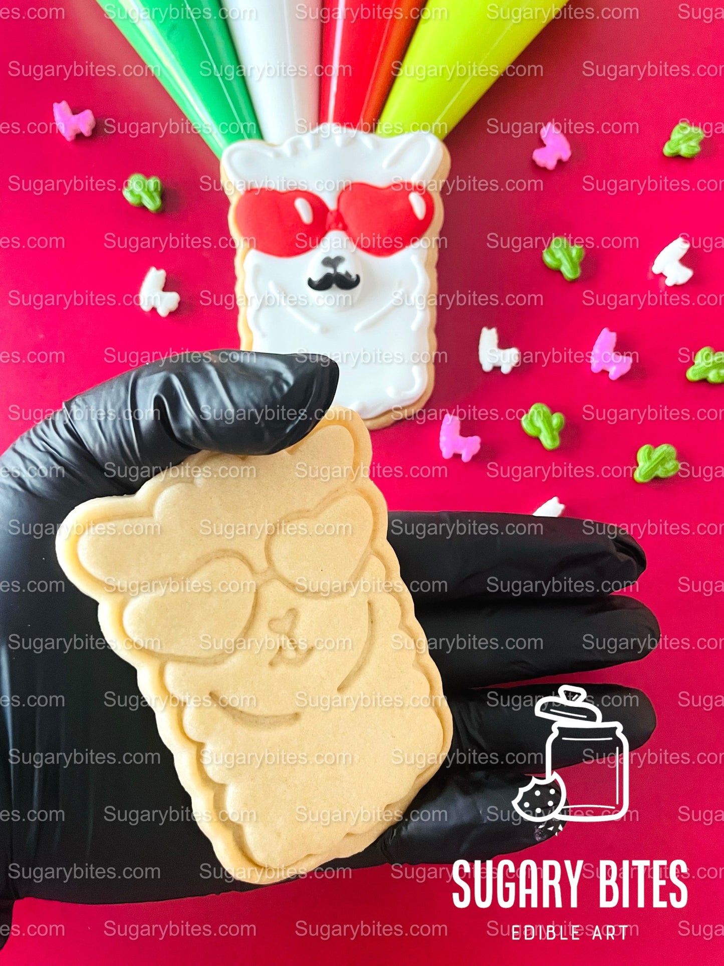 Valentine’s Day Cookie Decorating Kit, Heart DIY Cookie Kit, **INCLUDES 24 ITEMS** (Large Cookies), Deluxe Sprinkles Included!!!