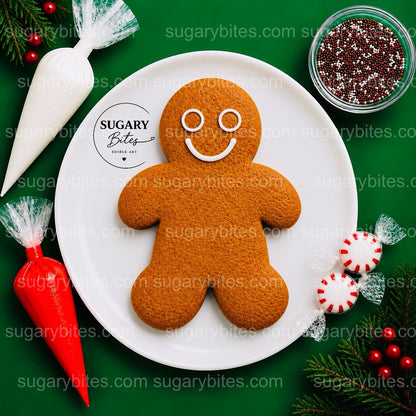 Giant Gingerbread Man Cookie Decorating Kit, 11 Inch Christmas DIY Cookie, Family Holiday Activity, Kids Christmas Gift