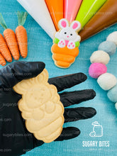 Load image into Gallery viewer, Easter Cookie Decorating Kit, DIY Spring Sugar Cookie Decorating Kit, **INCLUDES 26 ITEMS**,(Large Cookies)…with 5 Icing Bags &amp; Free Bonus!!!
