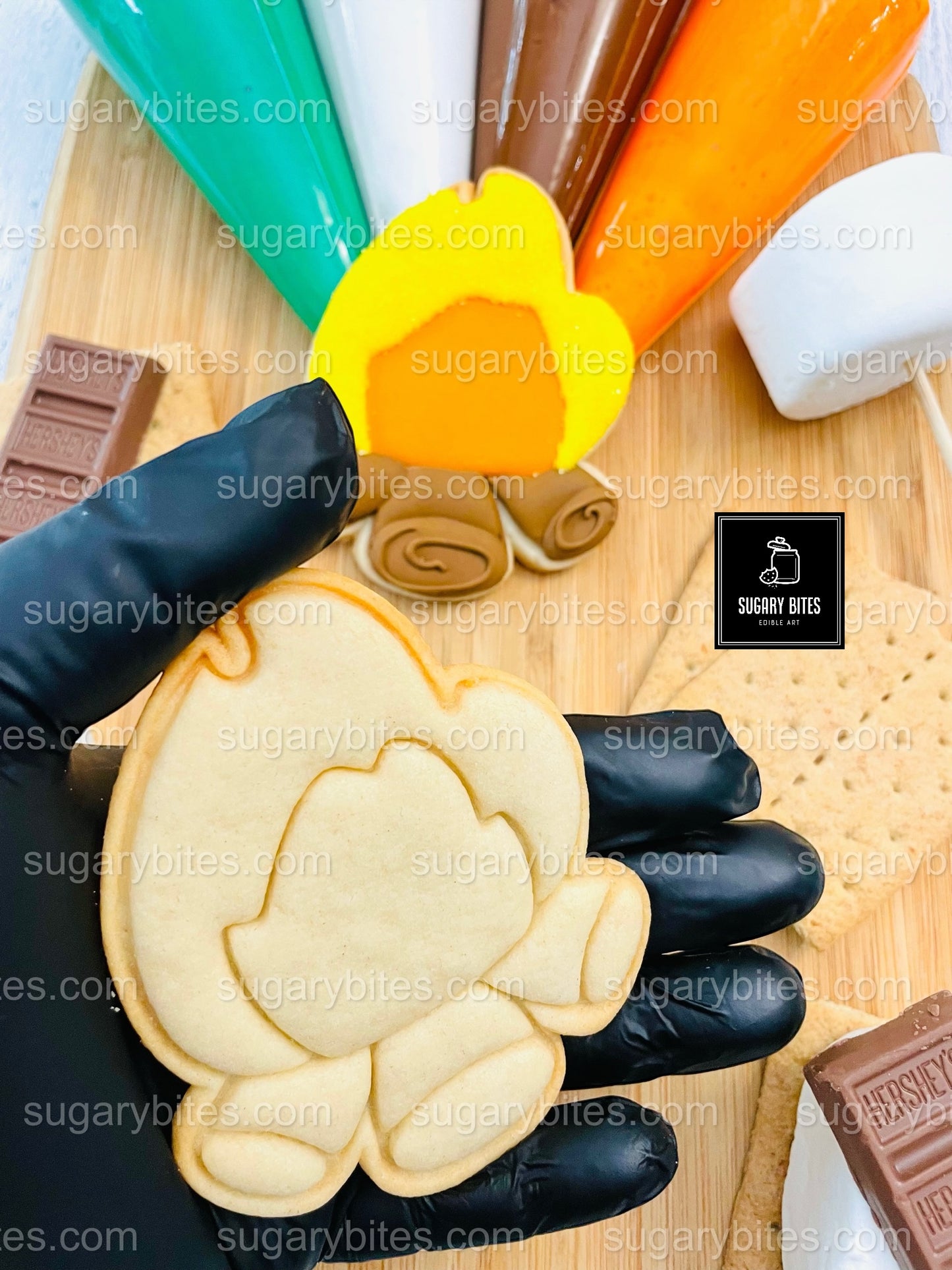 Camping Adventure Cookie Decorating Kit | DIY Cookie Set | Fun Family Activity | S’mores, Campfire, Tent Cookies | Party Favor Gift Box