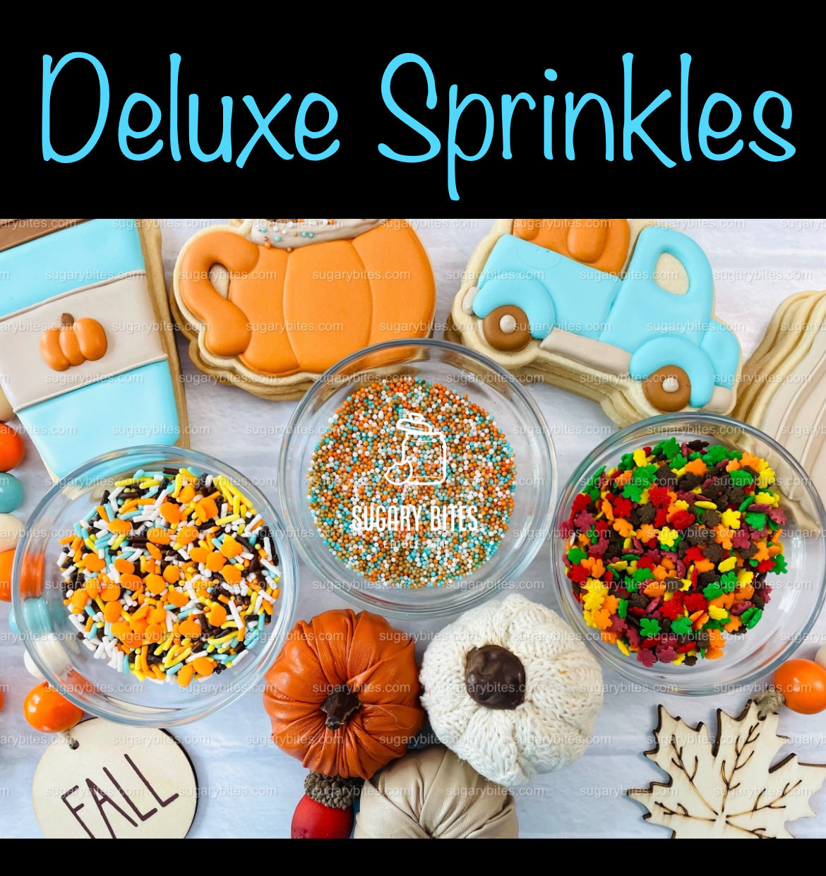 Fall Cookie Decorating Kit, ***INCLUDES 24 ITEMS*** Zoom Party Favors, Assorted Shaped Cookie Kit, (Large Cookies)