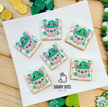 St. Patrick’s Day Cookie Set, Frenchie Birthday Gift,**SET of 12 Cookies**