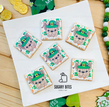 Load image into Gallery viewer, St. Patrick’s Day Cookie Set, Frenchie Birthday Gift,**SET of 12 Cookies**
