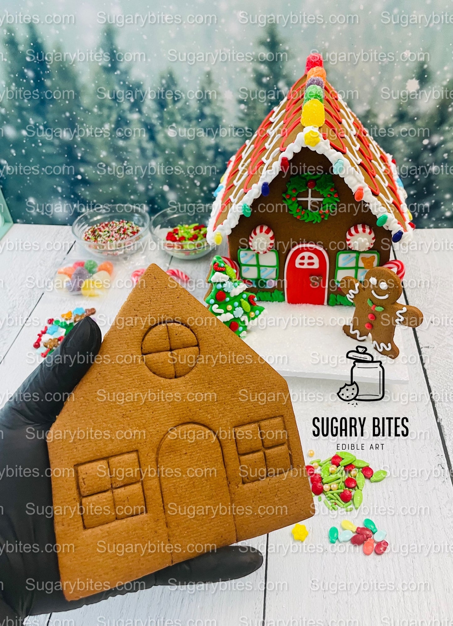 Gingerbread House Cookie Decorating Kit, DIY Cookie Kit, (Large Cookies), ***INCLUDES 24 ITEMS***With 4 Icing Bags & 6 Deluxe Sprinkles