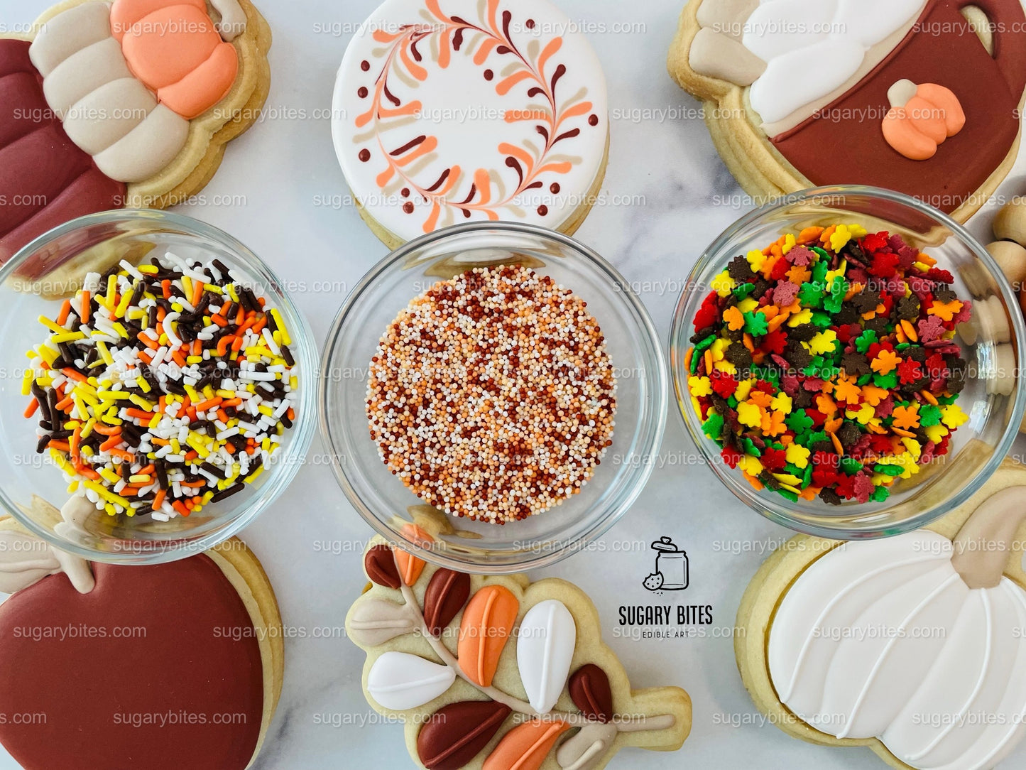 Fall Cookie Decorating Kit, ***INCLUDES 24 ITEMS*** Zoom Party Favors, Assorted Shaped Cookie Kit, (Large Cookies)