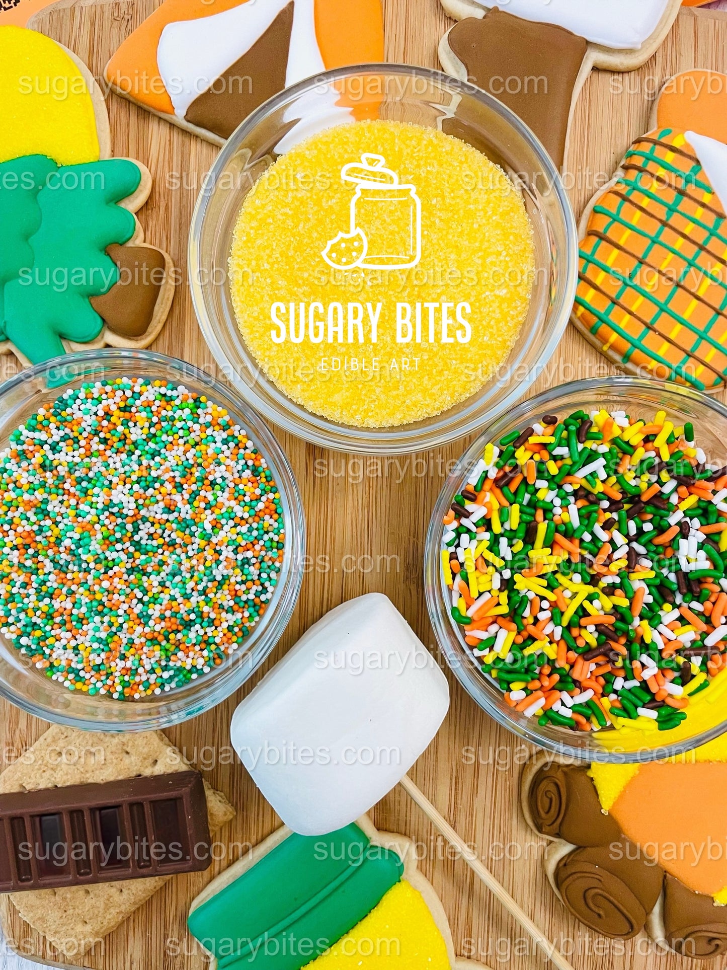 Camping Adventure Cookie Decorating Kit | DIY Cookie Set | Fun Family Activity | S’mores, Campfire, Tent Cookies | Party Favor Gift Box