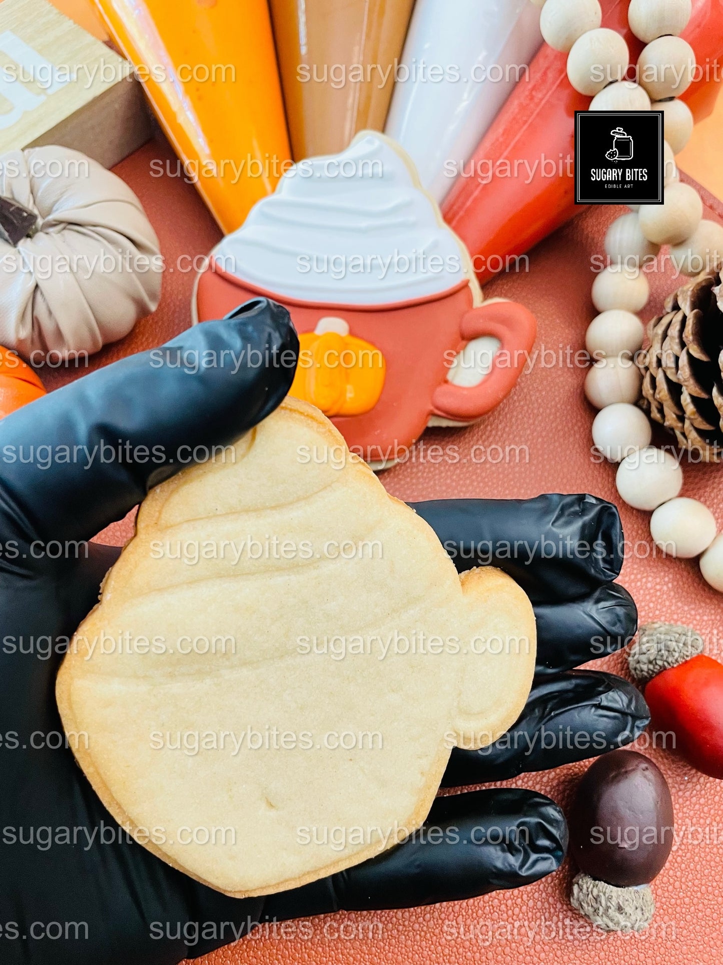 Fall Cookie Decorating Kit, ***INCLUDES 24 ITEMS*** Thanksgiving Cookies, Assorted Shaped Cookie Kit, (Large Cookies)