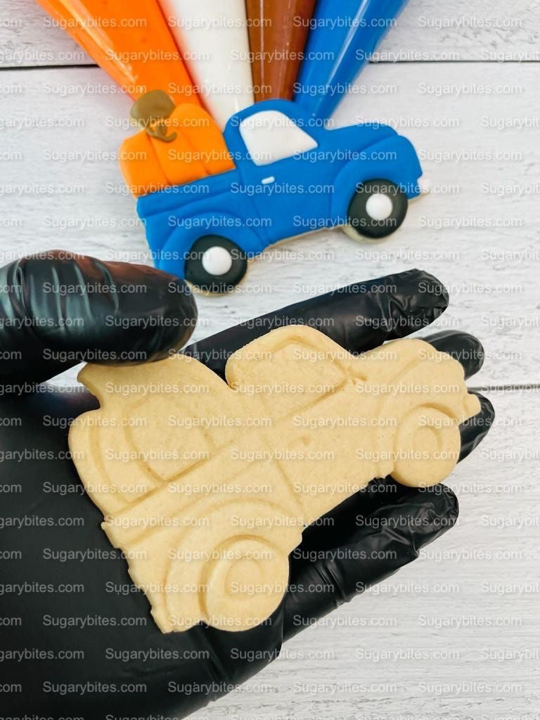 Fall Cookie Decorating Kit, ***INCLUDES 24 ITEMS*** Zoom Party Favors, Assorted Shaped Cookie Kit, (Large Cookies)!