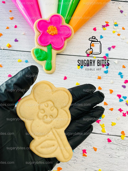 Easter Cookie Decorating Kit, DIY Spring Sugar Cookie Decorating Kit, **INCLUDES 24 ITEMS**, (Large Cookies)… with Free Bonus!!!