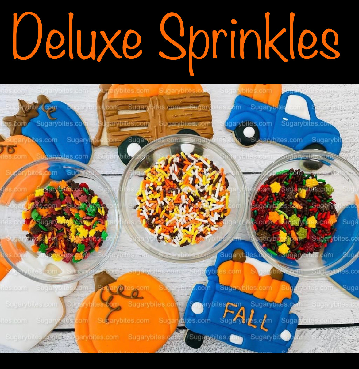 Fall Cookie Decorating Kit, ***INCLUDES 24 ITEMS*** Zoom Party Favors, Assorted Shaped Cookie Kit, (Large Cookies)!