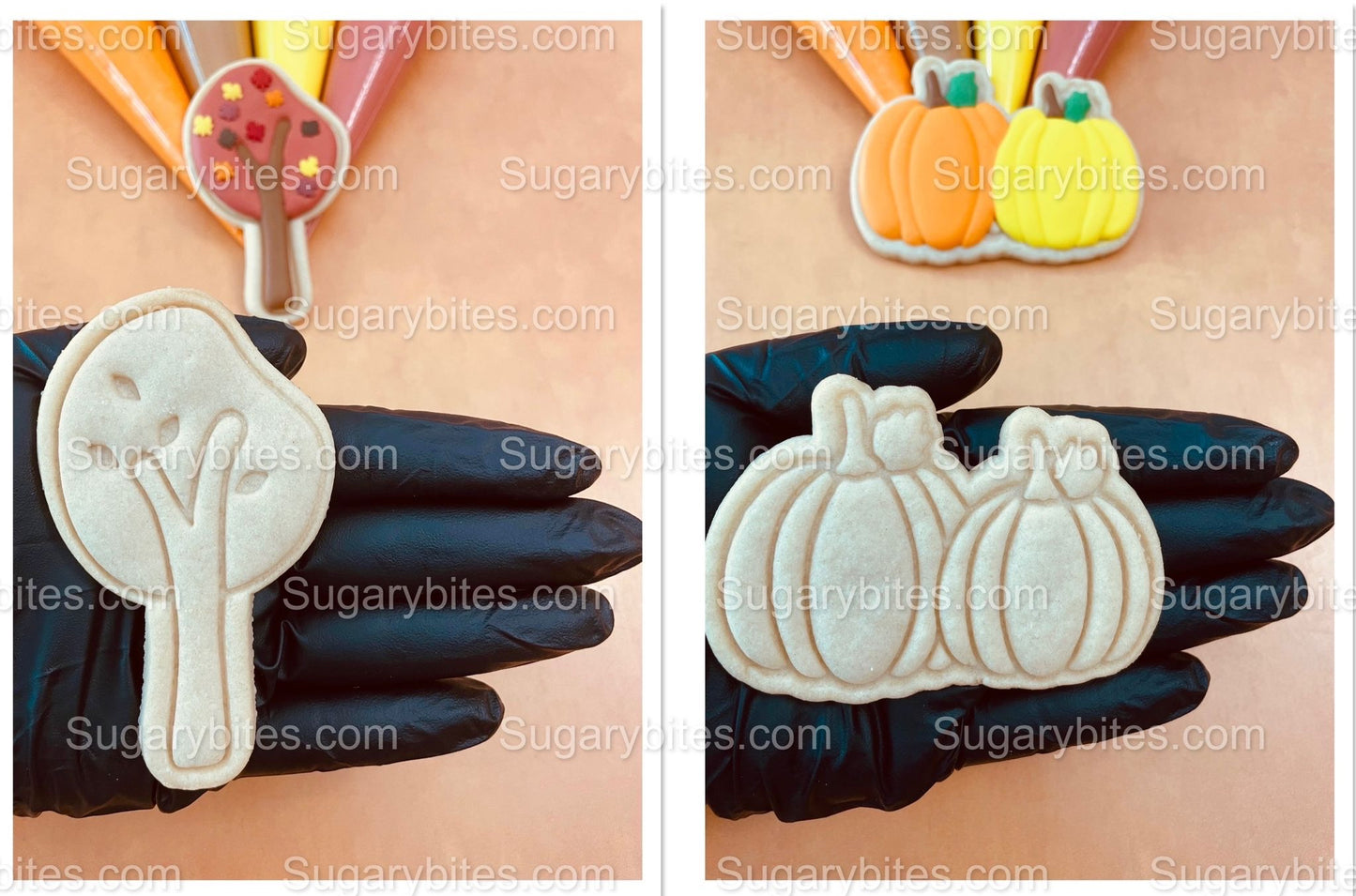 Fall Cookie Decorating Kit, Fall DIY Decorating Cookies Kit, (Large Cookies), **INCLUDES 24 ITEMS**, with 4 Icing Bags and 3 Sprinkles!!!…with FREE SHIPPING!!!