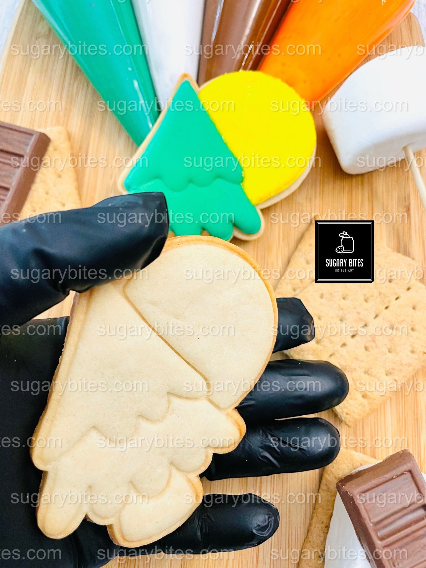 Camping Adventure Cookie Decorating Kit | DIY Cookie Set | Fun Family Activity | S’mores, Campfire, Tent Cookies | Party Favor Gift Box