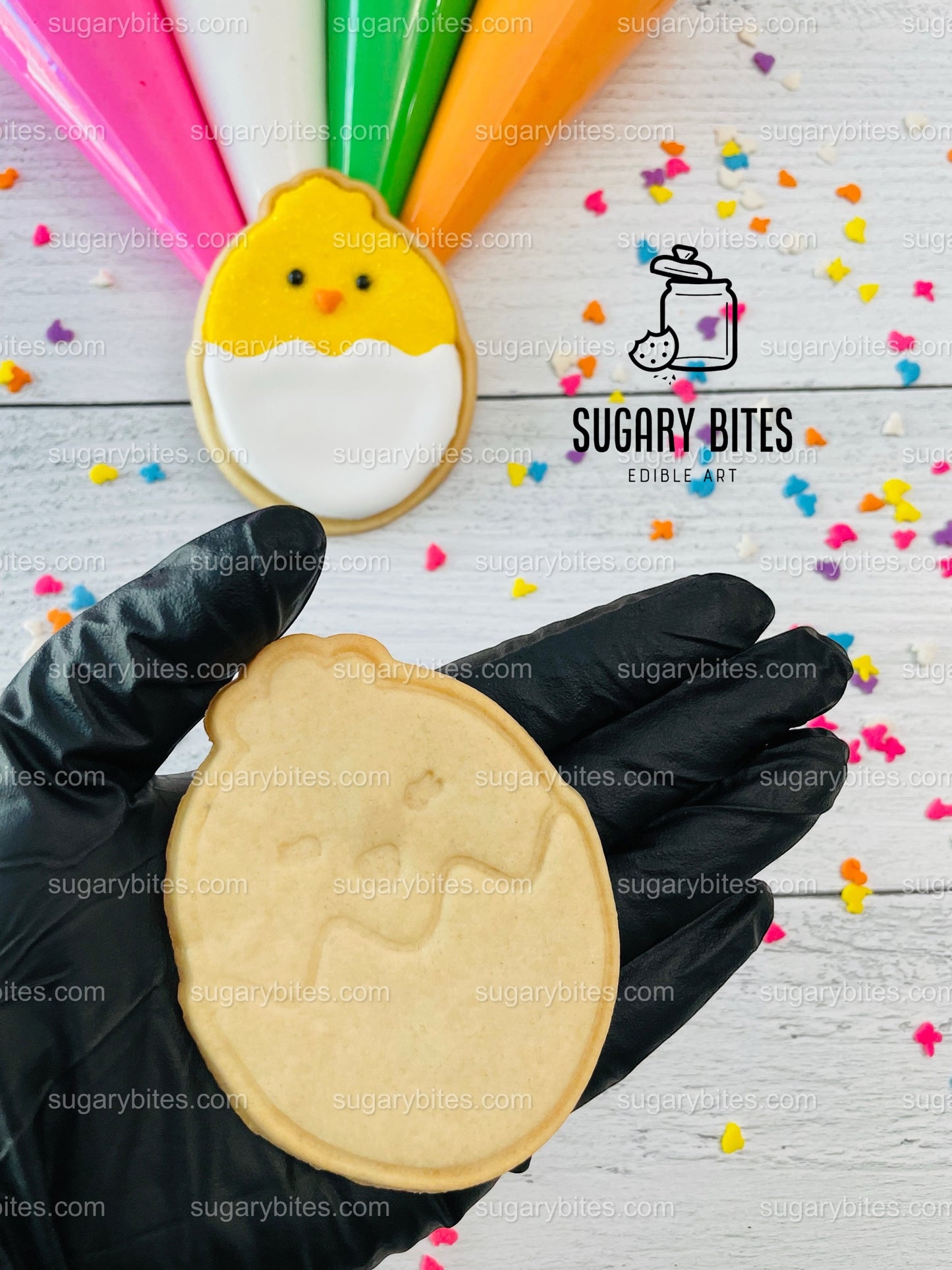Easter Cookie Decorating Kit, DIY Spring Sugar Cookie Decorating Kit, **INCLUDES 24 ITEMS**, (Large Cookies)… with Free Bonus!!!