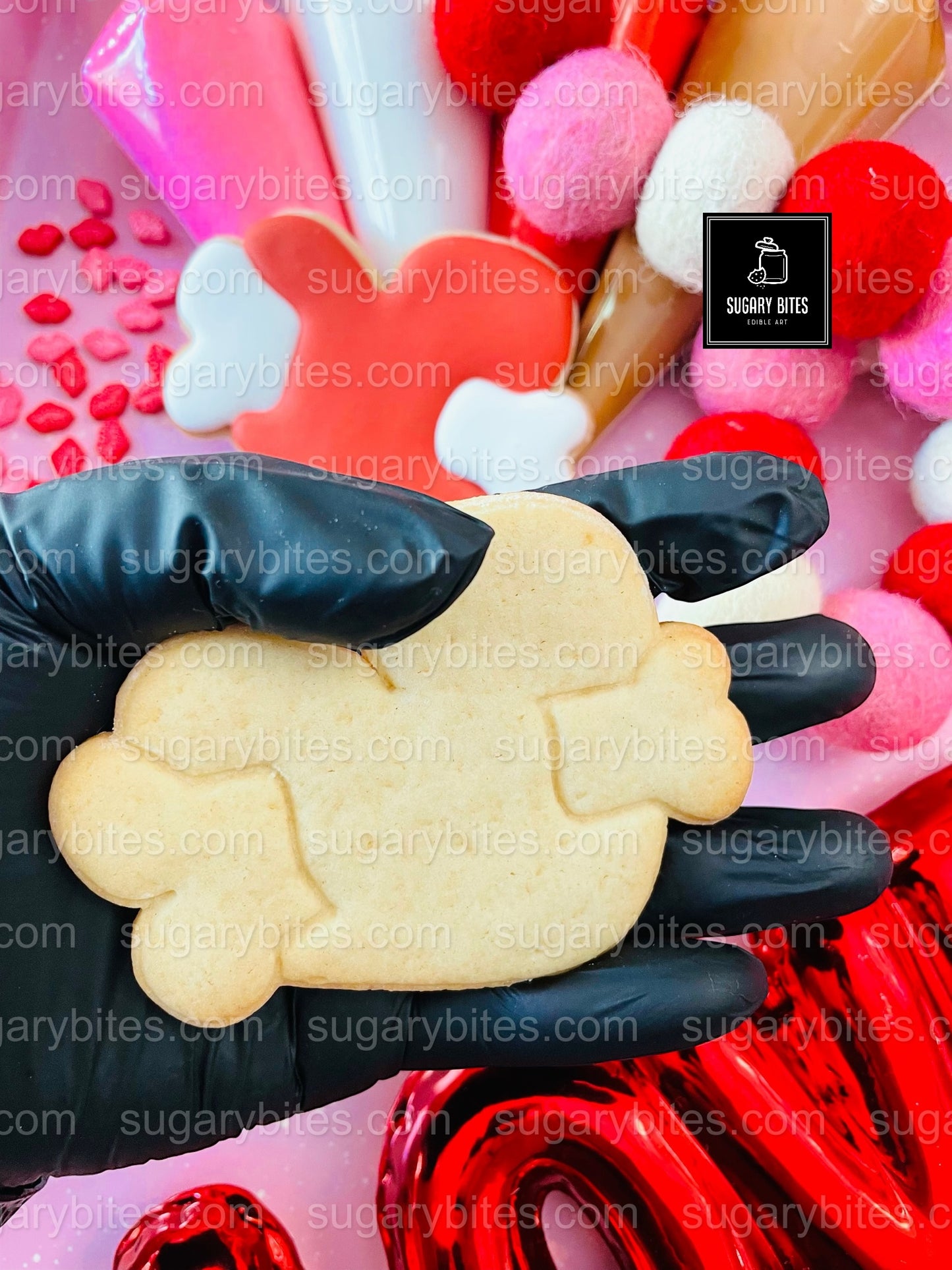 Valentine’s Day Cookie Decorating Kit, DIY Valentine’s Day Cookie Kit, **INCLUDES 24 ITEMS**(Large Cookies), Family Fun Treat,Valentine Gift